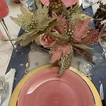 Frida 维亚雷焦